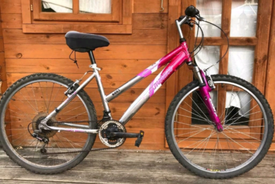 ammaco bike for sale